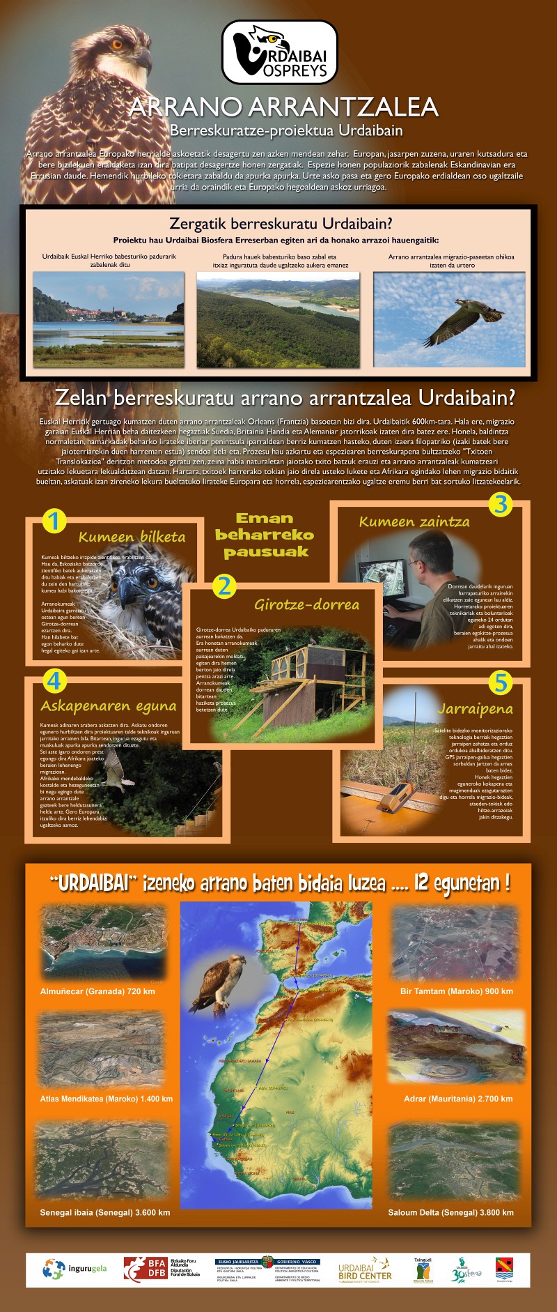 Berreskuratze-proiektua Urdaibain - Erakusketa 4