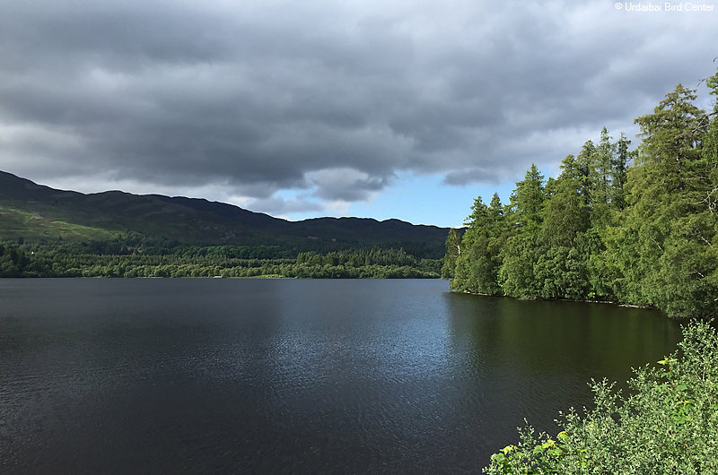 Loch Alvie03